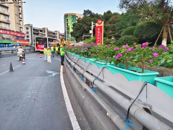 花映兩橋·綠滿(mǎn)酒城—興綠園林公司實(shí)施沱江一橋、連心橋景觀(guān)升級(jí)工程   